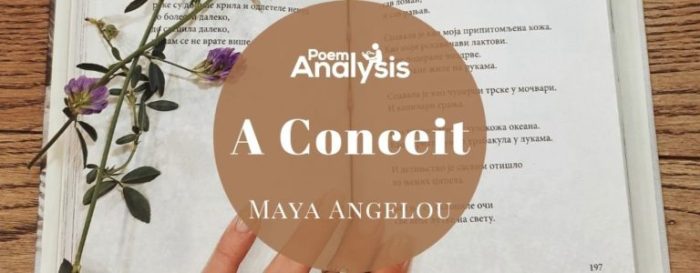 A conceit by maya angelou