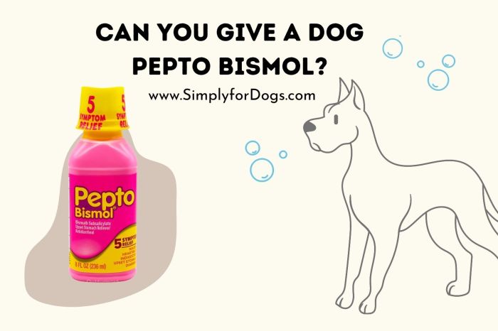 Pepto bismol stool kaopectate miljoen medicijnen jaarlijks honderd noires selles nrc peuvent ils provoquer weggegooid wordt verspild verywellhealth convertir