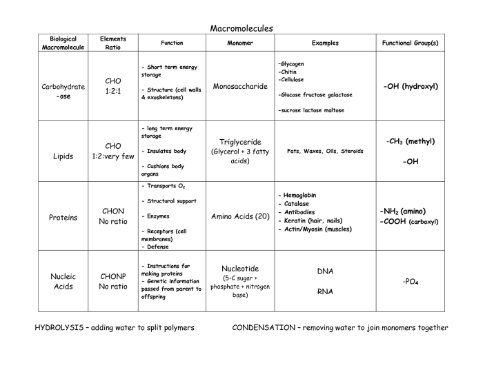 Elements and macromolecules in organisms worksheet answer key